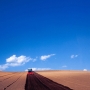 _MG_9384-2.jpg