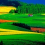 _MG_9400-2.jpg