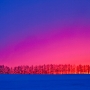_MG_9414-2.jpg